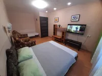 Миниатюра квартиры 10