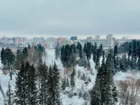 Миниатюра квартиры 25