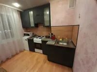 Миниатюра квартиры 2