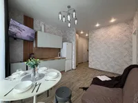 Миниатюра квартиры 14