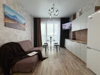 Миниатюра квартиры 19