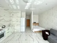 Миниатюра квартиры 9
