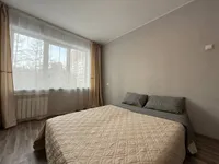 Миниатюра квартиры 1