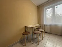 Миниатюра квартиры 13
