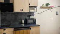 Миниатюра квартиры 11