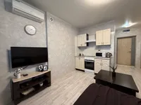 Миниатюра квартиры 1