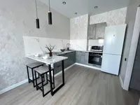 Миниатюра квартиры 11