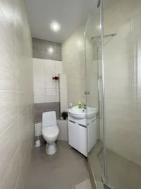 Миниатюра квартиры 10