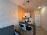 Миниатюра квартиры 8