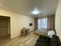 Миниатюра квартиры 10