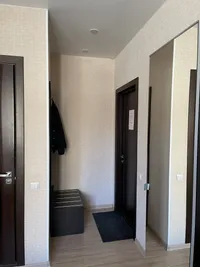 Миниатюра квартиры 5