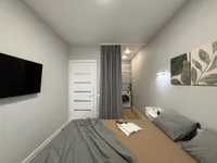 Миниатюра квартиры 8