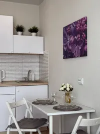 Миниатюра квартиры 8