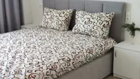 Миниатюра квартиры 1