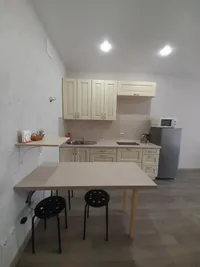 Миниатюра квартиры 4