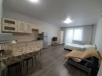 Миниатюра квартиры 2