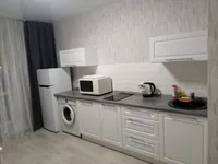 Миниатюра квартиры 1