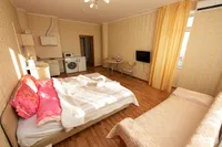 Миниатюра квартиры 20