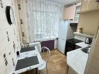 Миниатюра квартиры 17