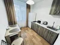 Миниатюра квартиры 8