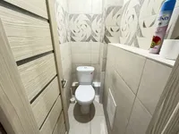 Миниатюра квартиры 10