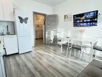 Миниатюра квартиры 19