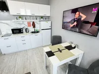Миниатюра квартиры 2