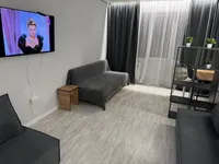Миниатюра квартиры 13