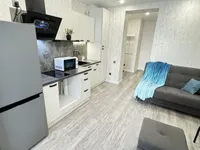 Миниатюра квартиры 11