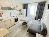 Миниатюра квартиры 16