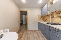Миниатюра квартиры 22