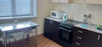 Миниатюра квартиры 9