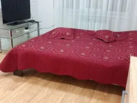 Миниатюра квартиры 2
