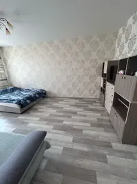Миниатюра квартиры 2