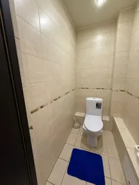 Миниатюра квартиры 19