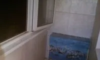 Миниатюра квартиры 3