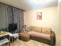 Миниатюра квартиры 2