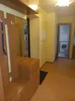 Миниатюра квартиры 19
