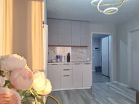 Миниатюра квартиры 21