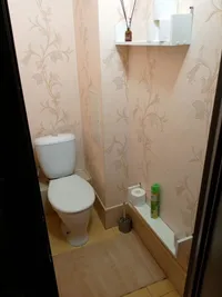 Миниатюра квартиры 10