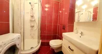 Миниатюра квартиры 10