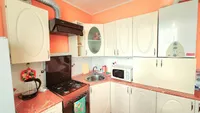 Миниатюра квартиры 12