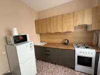 Миниатюра квартиры 15