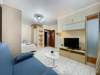 Миниатюра квартиры 8