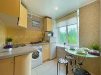 Миниатюра квартиры 11