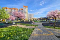 Миниатюра квартиры 12