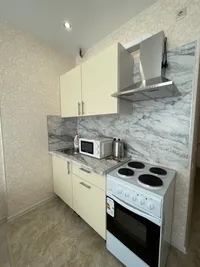 Миниатюра квартиры 5