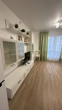 Миниатюра квартиры 55