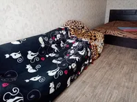 Миниатюра квартиры 5
