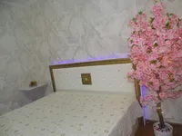 Миниатюра квартиры 9